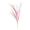Stielblume Pampas Glam Ca. 110^Depot Shop