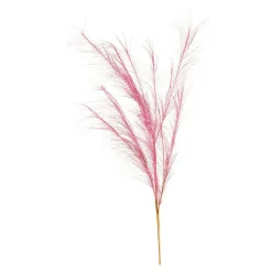 Stielblume Pampas Glam Ca. 110^Depot Shop