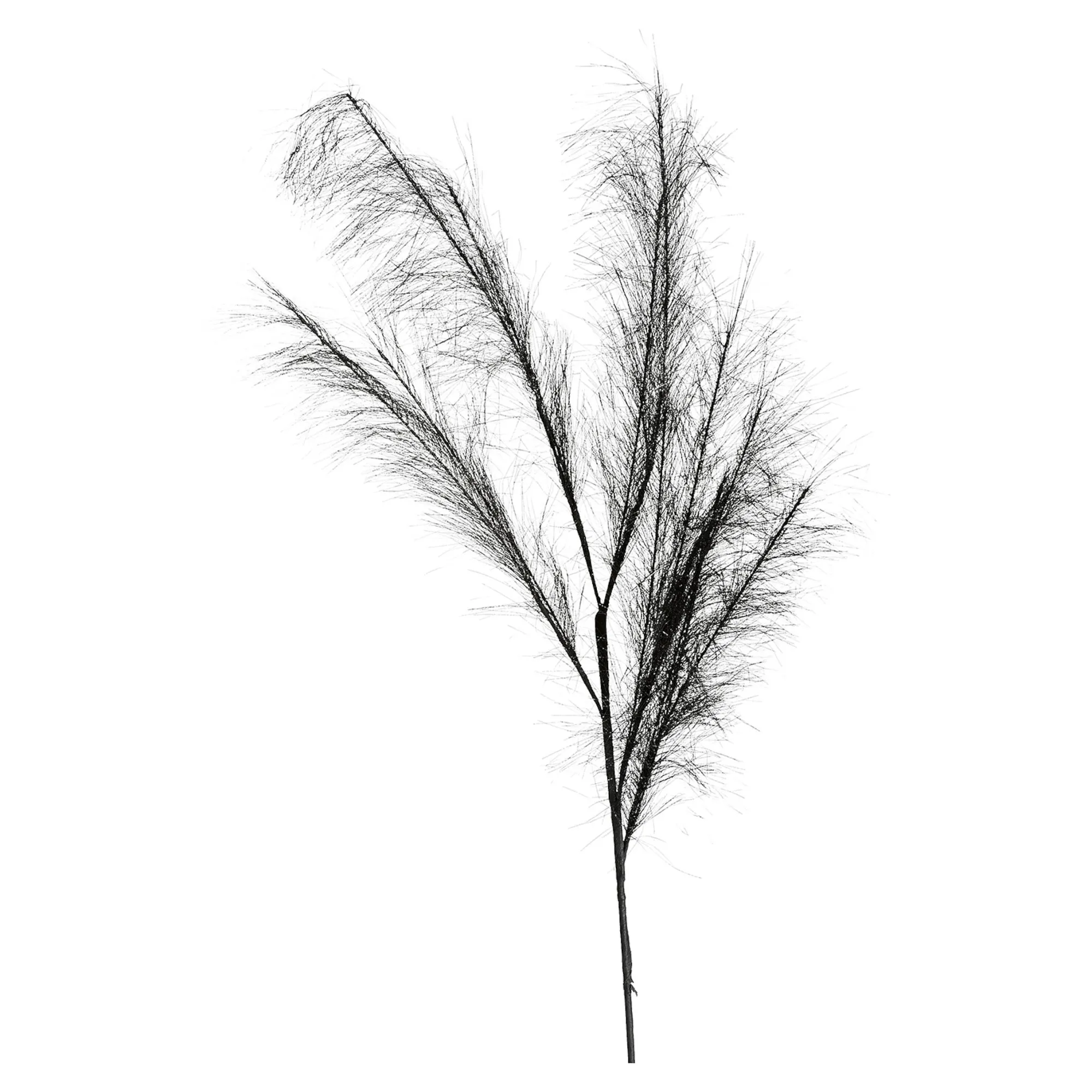 Stielblume Pampas Glam Ca. 110^Depot Cheap