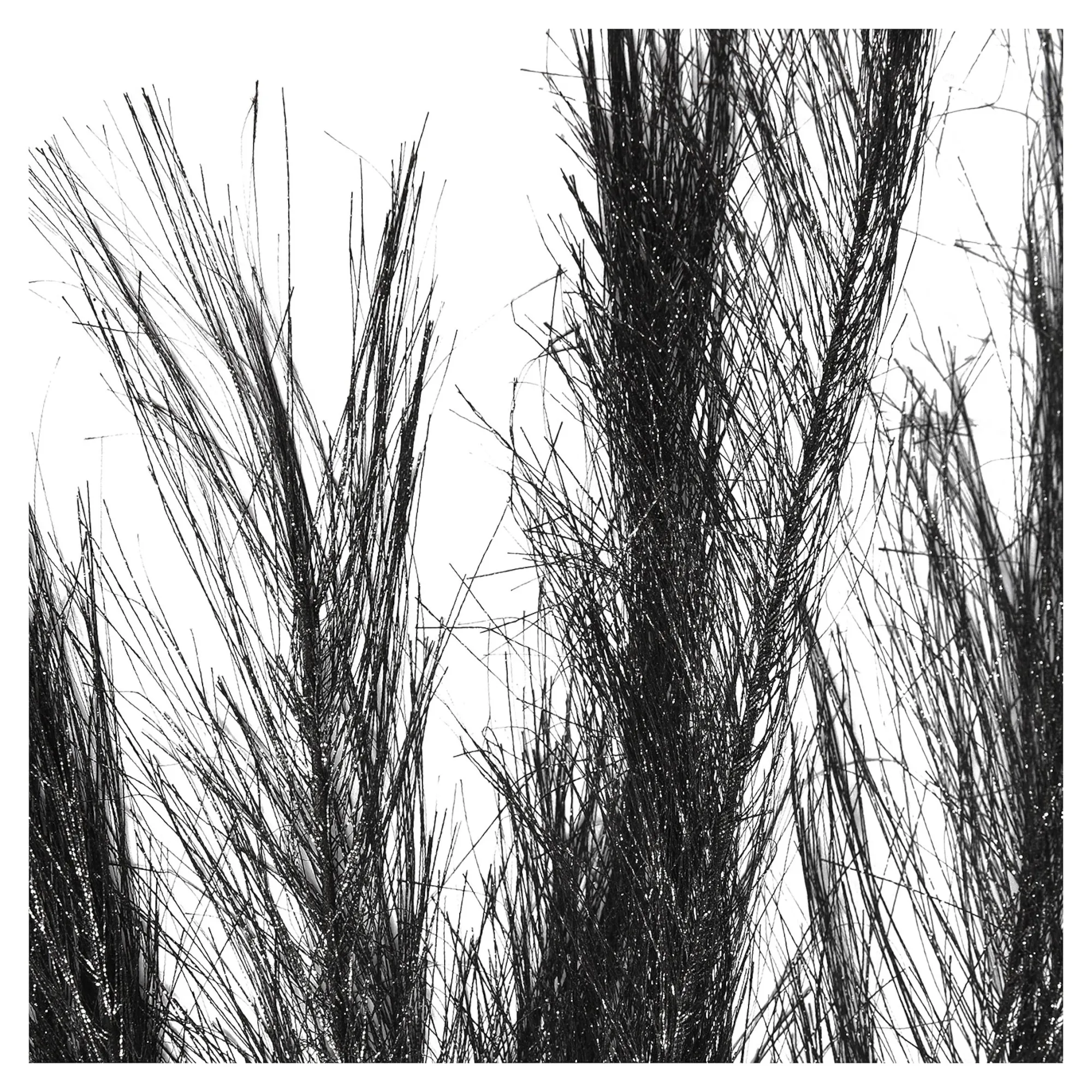 Stielblume Pampas Glam Ca. 110^Depot Cheap