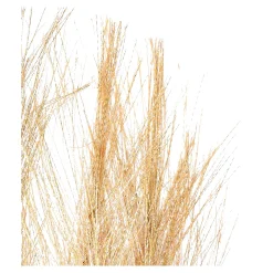 Stielblume Pampas Glam Ca. 110^Depot New