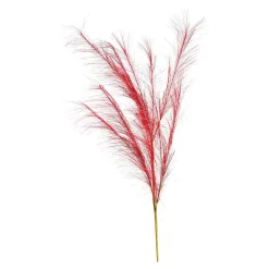 Stielblume Pampas Glam Ca. 110^Depot Hot