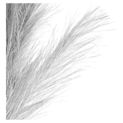 Stielblume Pampas Glam Ca. 110^Depot Outlet
