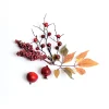 Streuartikel Beeren & Blatter^Depot Cheap
