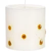 Hot Depot Stumpenkerze Trockenblume
