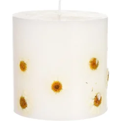 Hot Depot Stumpenkerze Trockenblume