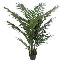 Topfpflanze Arecapalme Ca. 90Cm^Depot Cheap