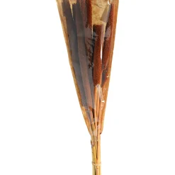 Best Sale Depot Trockenblume Babla
