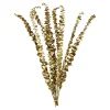 Trockenblume Eukalyptus Ca.55C^Depot Cheap