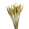 Sale Depot Trockenblume Gerste
