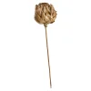 Trockenblume Glitter Artichoke^Depot Outlet