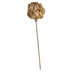 Trockenblume Glitter Artichoke^Depot Outlet