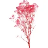 Fashion Depot Trockenblume Gypsophilia