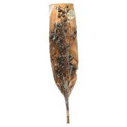 Trockenblumenbund Beeren^Depot Best