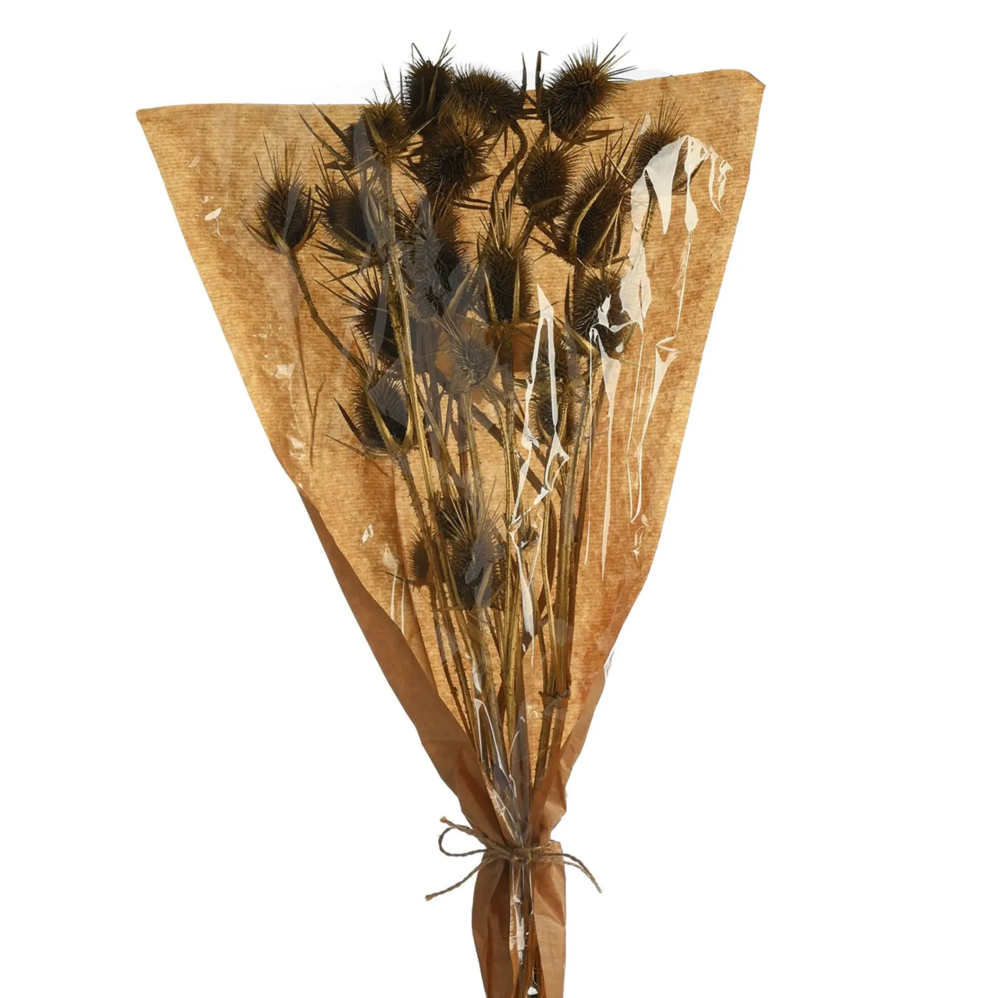 Store Depot Trockenblumenbund Distel