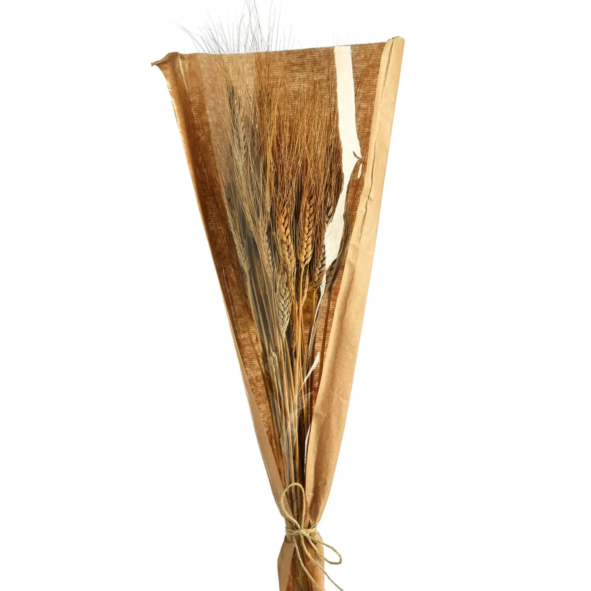 Best Sale Depot Trockenblumen-Bundel Ahren