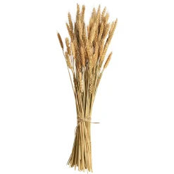 Best Sale Depot Trockenblumen-Bundel Ahren