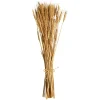 Clearance Depot Trockenblumen-Bundel Ahren
