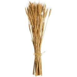 Clearance Depot Trockenblumen-Bundel Ahren