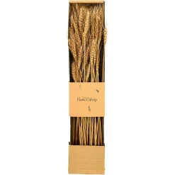 Clearance Depot Trockenblumen-Bundel Ahren