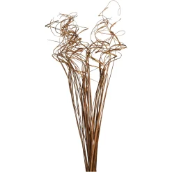 Cheap Depot Trockenblumen-Bundel Curly