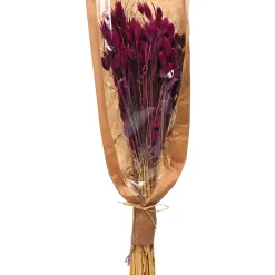 Hot Depot Trockenblumen-Bundel Phalaris