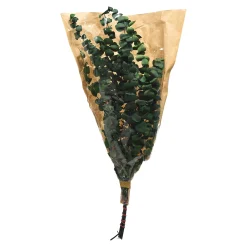 Trockenblumenbund Eukalyptus^Depot Flash Sale