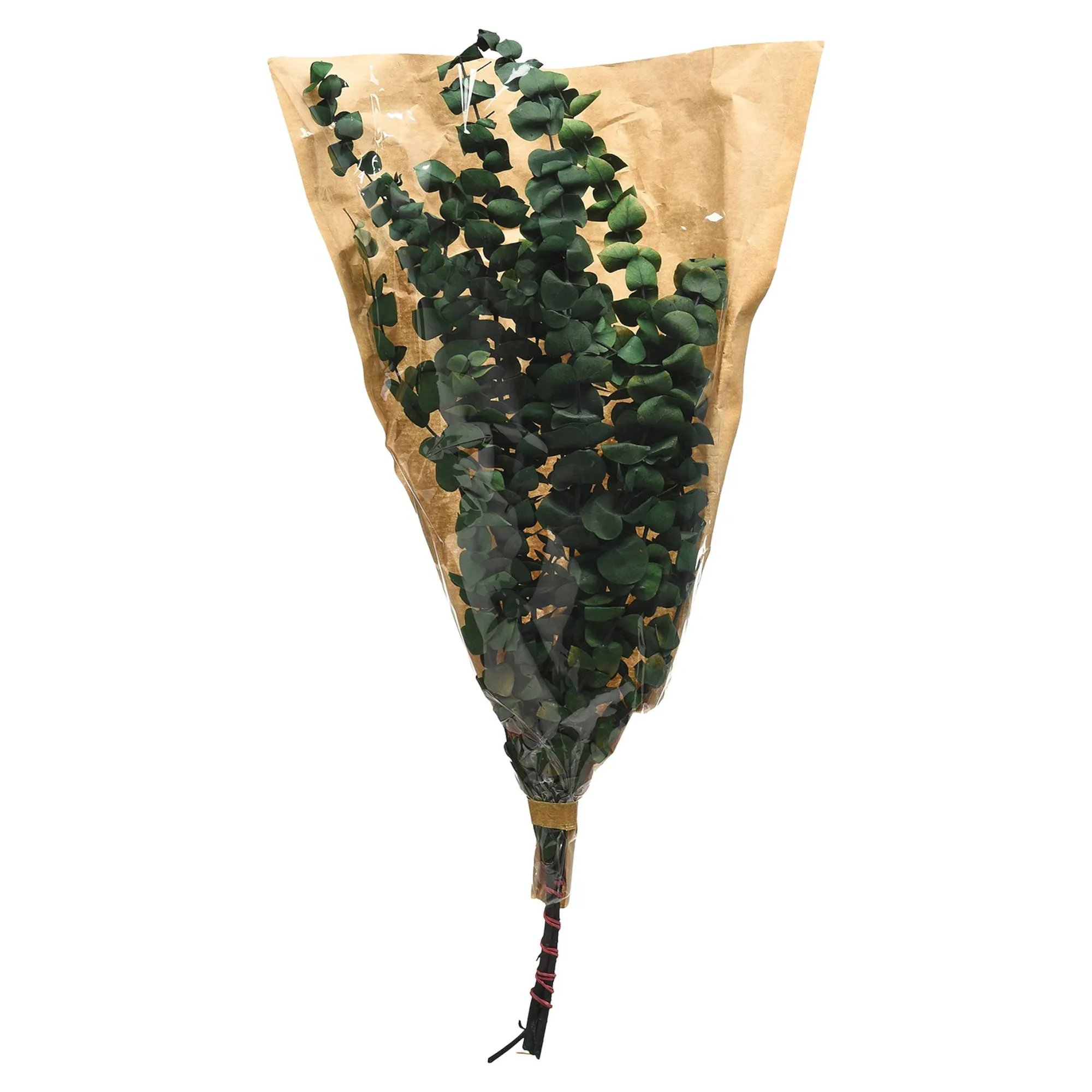 Trockenblumenbund Eukalyptus^Depot Flash Sale