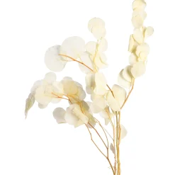 Trockenblumenbund Eukalyptus^Depot Shop