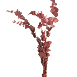 Trockenblumenbund Eukalyptus^Depot Online