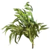 Shop Depot Trockenblumenbund Eukalyptus