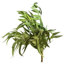 Shop Depot Trockenblumenbund Eukalyptus