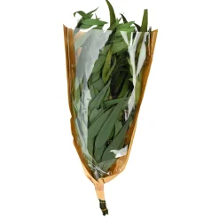 Shop Depot Trockenblumenbund Eukalyptus