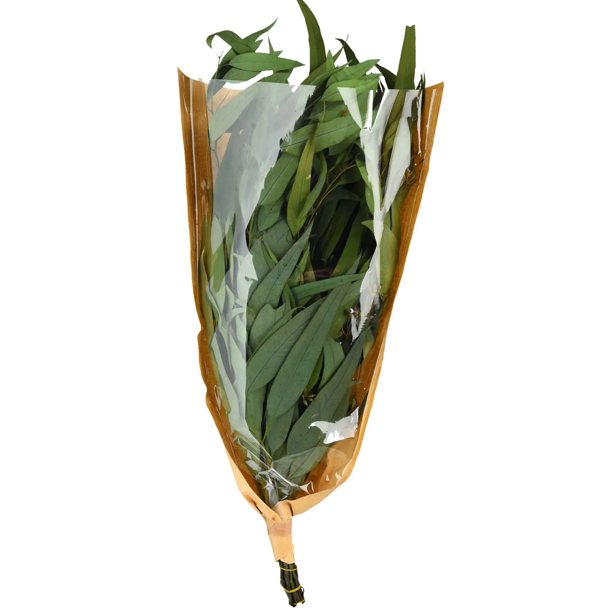Shop Depot Trockenblumenbund Eukalyptus