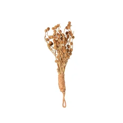 Trockenblumenbund Getreide^Depot Cheap