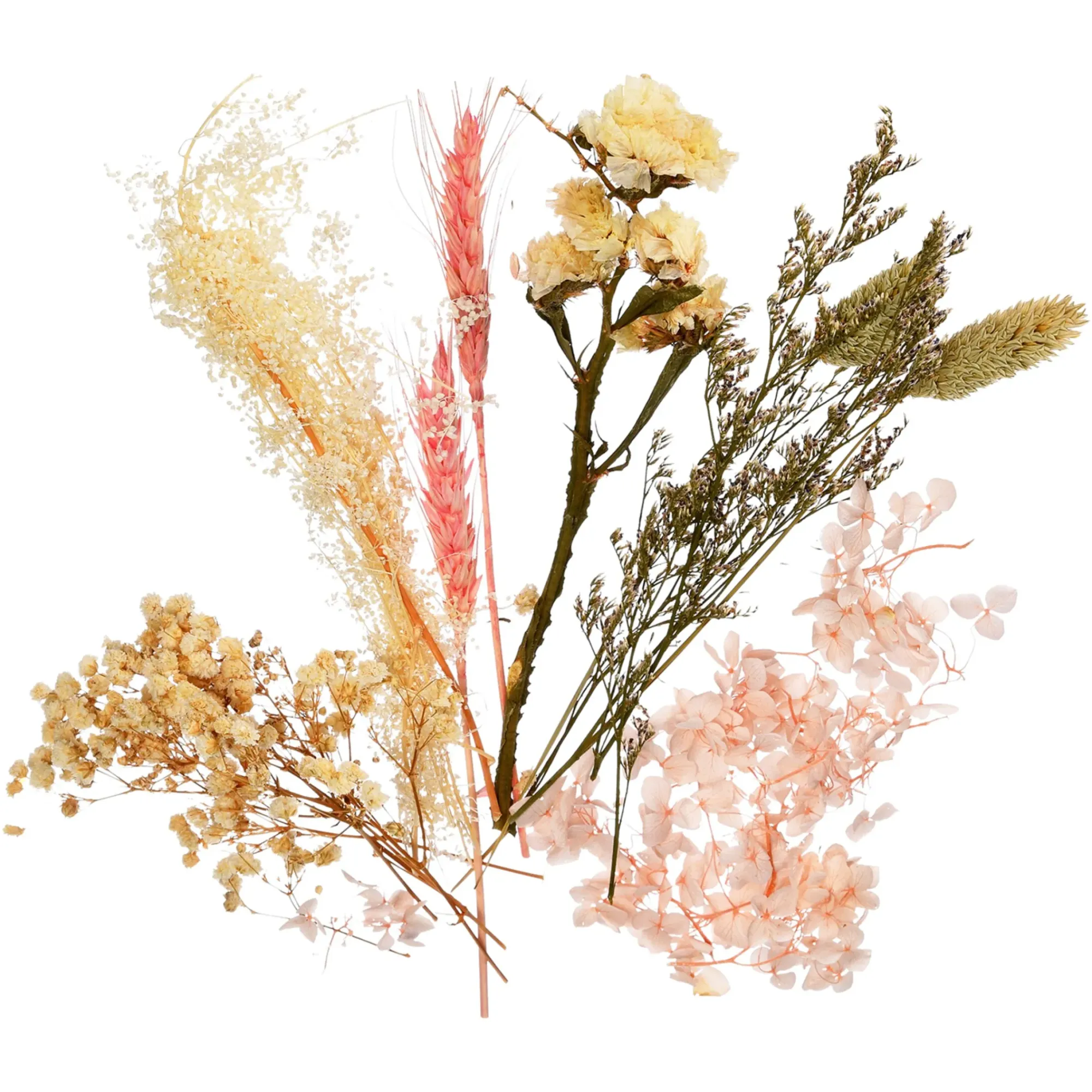 Best Sale Depot Trockenblumenbund Getreide