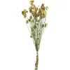Cheap Depot Trockenblumenbund Nigella