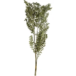Shop Depot Trockenblumenbund Ruscus