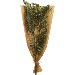 Shop Depot Trockenblumenbund Ruscus
