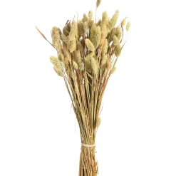 Trockenblumenbund Samtgras^Depot Clearance