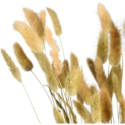 Store Depot Trockenblumenbund Samtgras