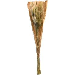 Store Depot Trockenblumenbund Samtgras