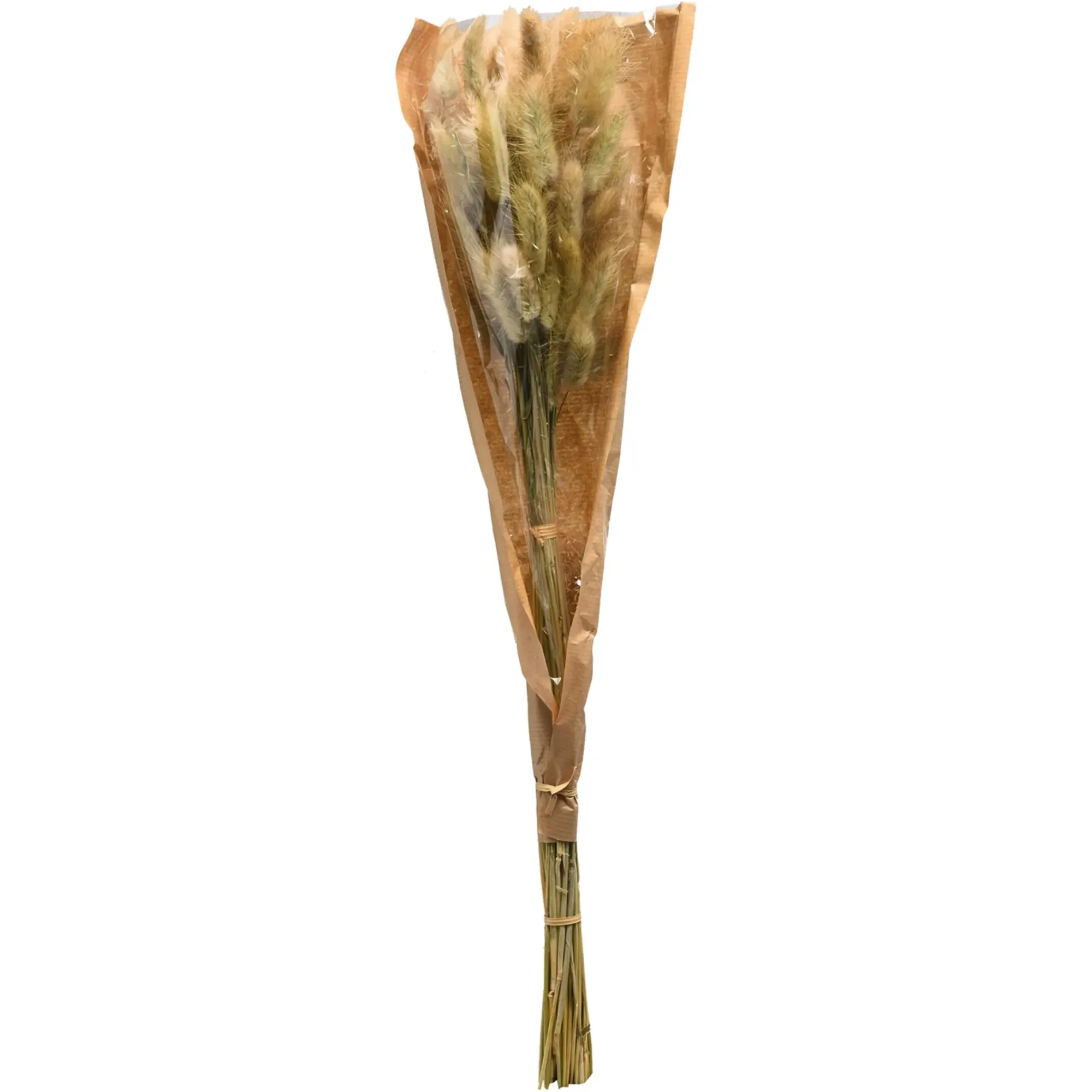 Store Depot Trockenblumenbund Samtgras