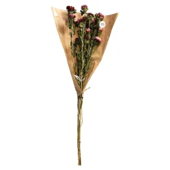 Trockenblumenbund Strohblumen^Depot Hot