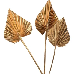 Trockenblumen Palmleaf^Depot Clearance
