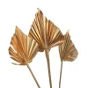 Trockenblumen Palmleaf^Depot New