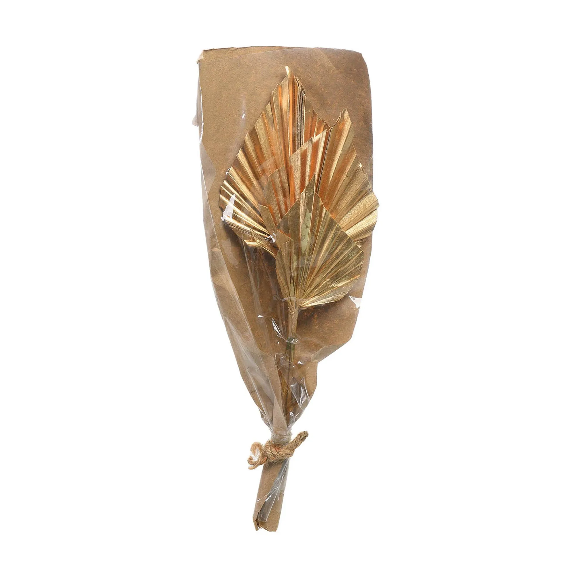 Trockenblumen Palmleaf^Depot New