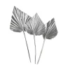 Trockenblumen Palmleaf^Depot Cheap
