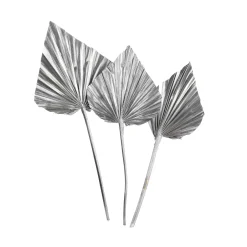Trockenblumen Palmleaf^Depot Cheap