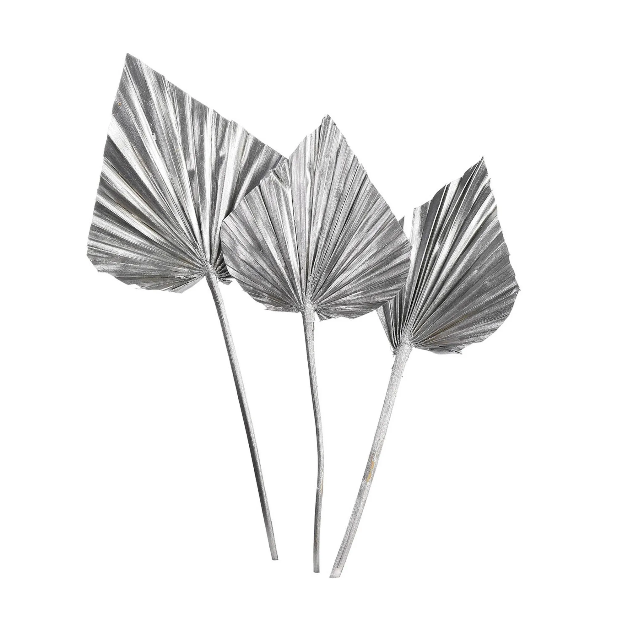 Trockenblumen Palmleaf^Depot Cheap